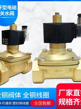 2W常开型电磁阀电磁开关阀全铜电磁进水阀气阀12v22J0V24V4分6分