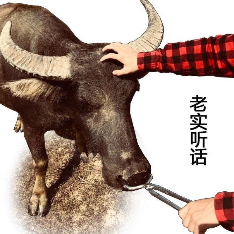 不锈钢保定钳抓牛l钳兽用牛工具牛鼻夹子特长牛鼻钳子加长柄牛鼻