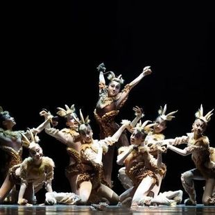 十二届小荷风采斑羚飞渡演出服儿童藏羚羊舞蹈森林精羚动物表演服