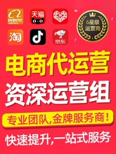 淘宝代运营整店托管天猫网店营运直通车推广优化PDD多多店铺运营