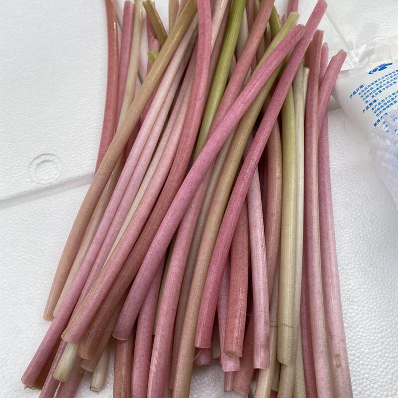 新鲜鸡头梗湖北特产水生蔬菜苞梗非藕尖芡实梗刺梗鸡头苞梗芡实梗