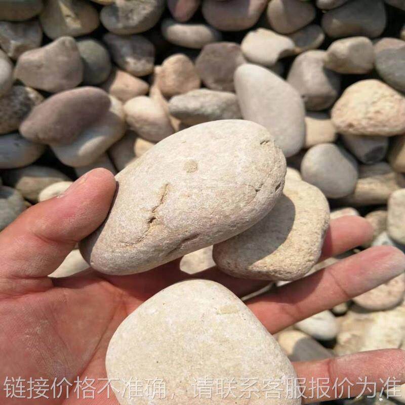 山东青岛鹅卵石 河卵石可用于园林景观铺路水过滤填料