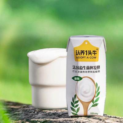 认养一头牛原味酸奶200g*12盒酸奶整箱儿童学生