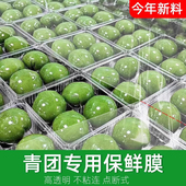 小号打包袋商用点断式 青团保鲜膜包装 专用20cm断点式 艾糍粑清团纸