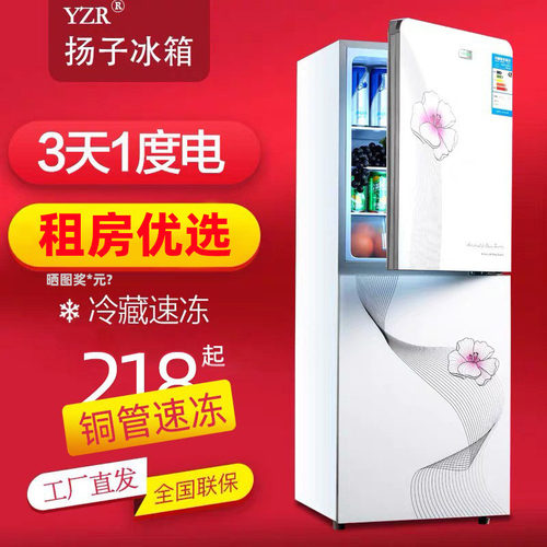 扬子电气小冰箱小型双门家用冷冻冷藏出租房宿舍一级节能省电冰箱