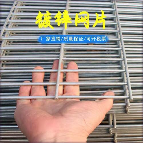 铁丝网围栏热镀锌电焊铁丝网格网长方形加粗建筑网片鸽舍狗笼家用