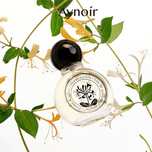 香水清新淡雅女士AYNOIR