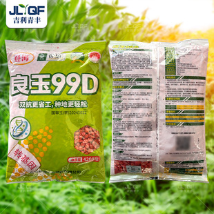 良玉99D大田玉米种子登海国审饲料玉米种子春秋四季转基因苞米孑