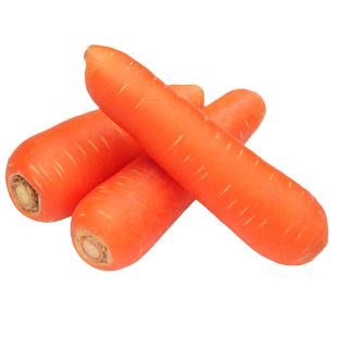 三红胡萝卜种子高产水果萝卜种籽春秋四季五寸小人参罗卜种孑大全