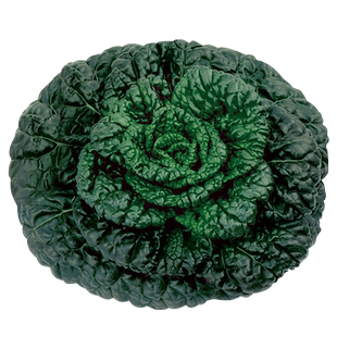 小八叶乌塌菜籽耐寒黑心乌塔菜种子雪里金花四季白菜种孑冬季蔬菜