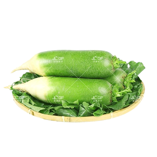 生吃水果萝卜种子脆甜赛鸭梨潍县萝卜种籽高产沙窝青罗卜夏秋四季