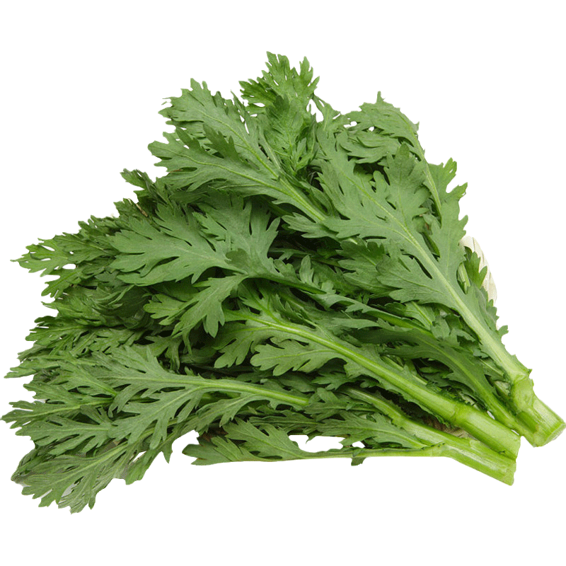 小叶茼蒿种子菜苗皇帝大全四季