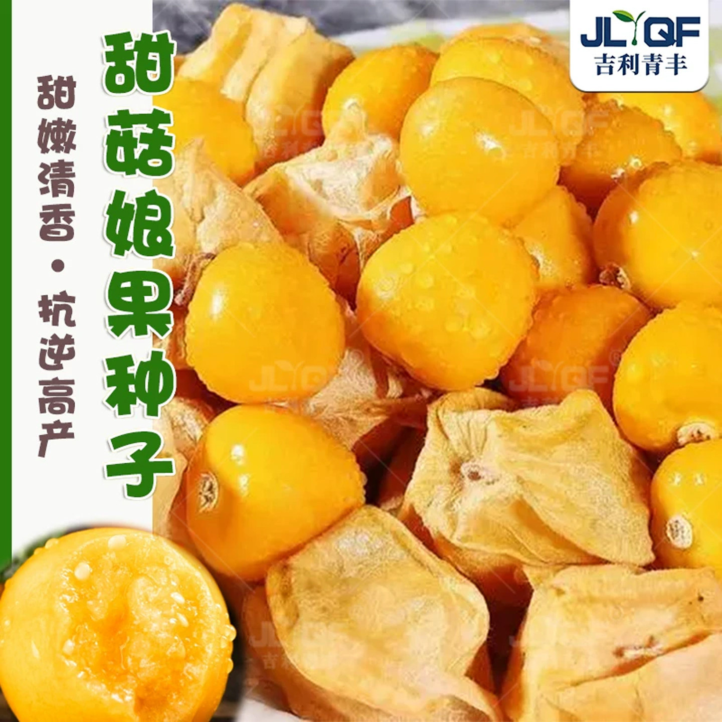 超甜大菇种子东北姑娘果四季图片