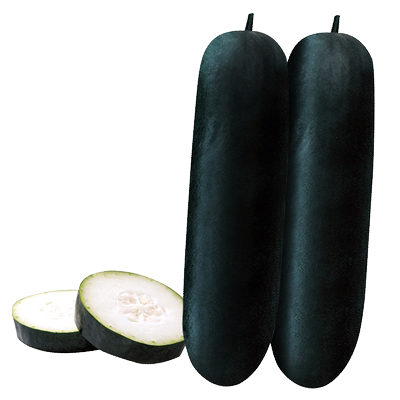 特大冬瓜种子广东黑皮冬瓜