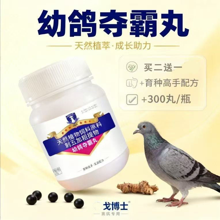 戈博士幼鸽夺霸丸植物提取鸽子营养丸促成长丰羽种鸽鹦鹉育雏宝丸