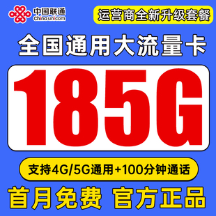 流量卡纯流量上网卡无线限量大流量手机卡5g电话卡全国通用大王卡