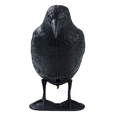 Fake Crow Decoy Garden Bird Deter Scarer Scarecrow Pest Dete