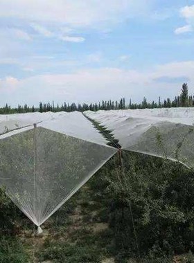 Nylon Anti-Hail Netting, Hail Protect Garden Netting Mesh Wh