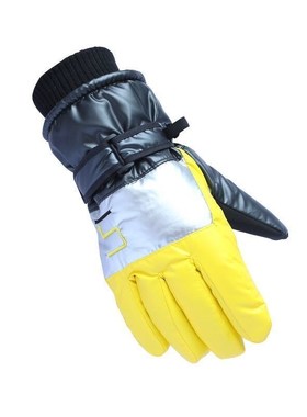 Winter Warm Ski Gloves for Men and Women with Touch Screen