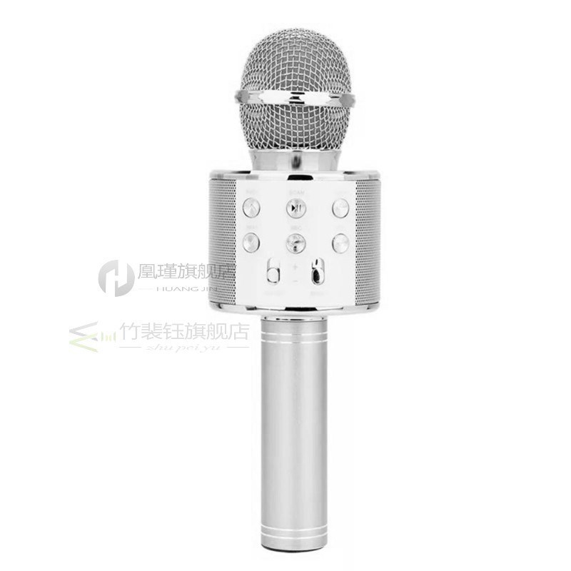 WS858 Professional Bluetooth Wireless Microphone Speaker Han