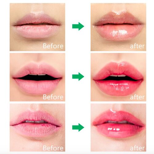 aloe lip plumper oil gloss filler plump booster stain repul