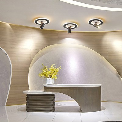 Living room corridor corridor light luxury ceiling light sim