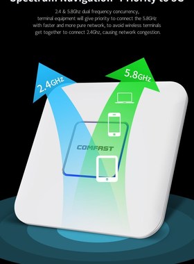 CF-E455AC 1200Mbps Dual Band 5Ghz Wireless WiFi Access Point