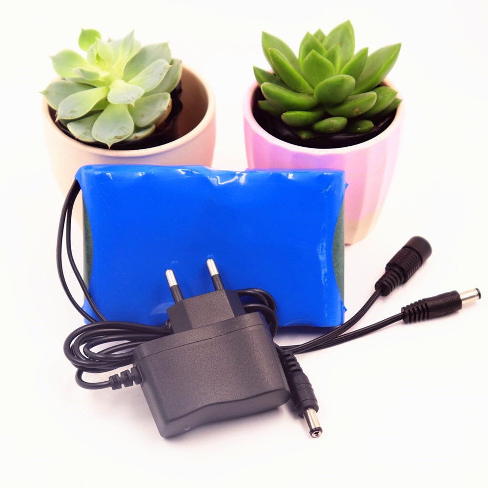 Portable Super 18650 Rechargeable Lithium Ion battery pack c