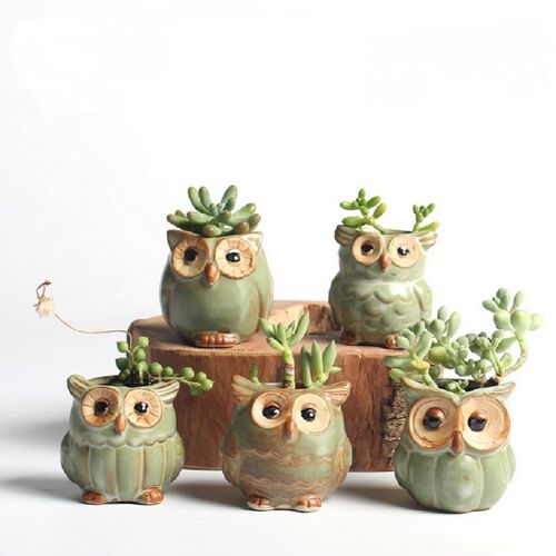 5Pcs/Set Ceramic Owl Shape Garden Flower Pot Desk Plant Pot