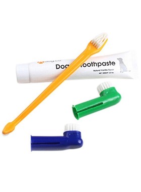 Pet Toothpaste Dog Puppy  Toothbrush Teethpaste 1 Toothpa