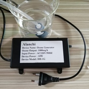 Portable Ozone Generator air purifier 1g 1000mg Air Water Pu