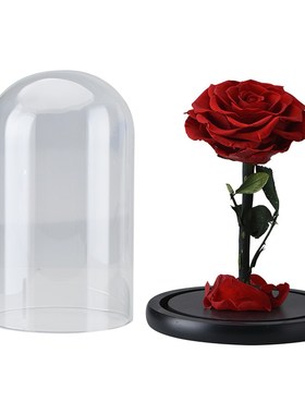 HOT Rose In Flask Beauty And The Beast Red Rose With LED Li