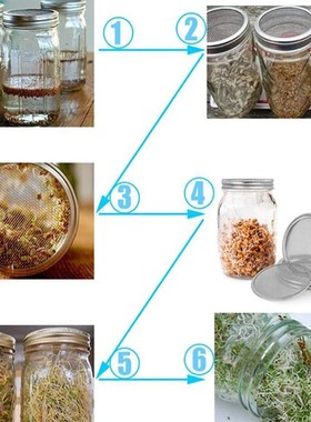Seed Sprouting Screen Lids Filters Sprouting Lids Strainer