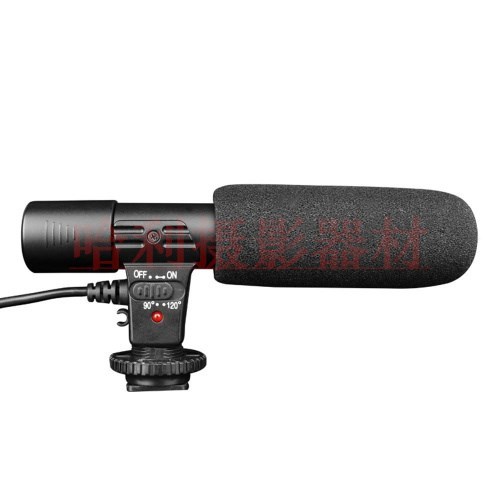 Recording Microphone Digital Video DV Camera Studio Stereo
