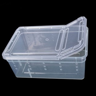 Insect Box Reptile Transport Transparent Breeding Plastic