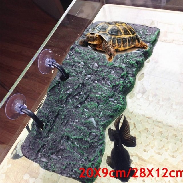 Reptile Hiding Cave Lizard Snake Turtle Hide Rest Cave Repti