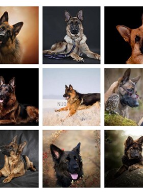 5D DIY Diamant Schilderij Canine Dier Hond Duitse Herder Dia