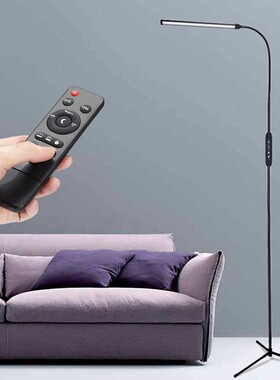 Minimalist Nordic Black LED Standing Floor Lamp with Remote