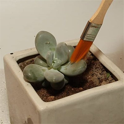 Multi-function Mini Gardening Hand Tools Set Succulent Plant