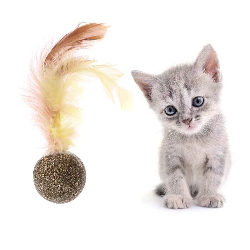 Nature Kitten Feature Toy Teeth Cleaning nip Ball