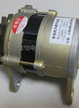 220v high power small generator 800W permanent magnet brushl