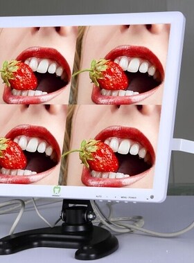 Good Quality Dental Equipment PIP Oral Camera Intraoral Cam