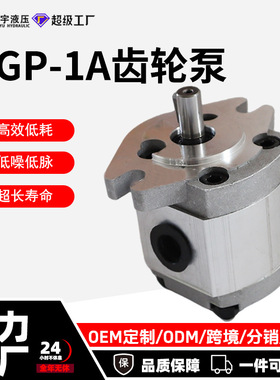 HGP齿轮泵HGP-1A-F1R/1A-F2R/F3R/F4R/F5R/F6R/F7R/F8R液压油泵