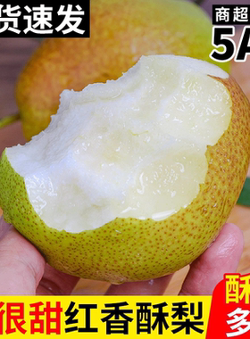山西红香酥梨新鲜水果梨子当应季时令整箱皇脆甜雪梨翠冠特级大梨