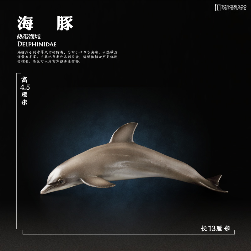海豚模型海洋动物玩具环保材质