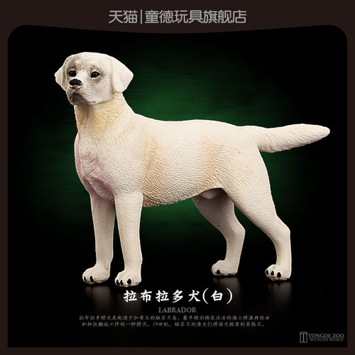 童德白色拉布拉多犬PVC模型