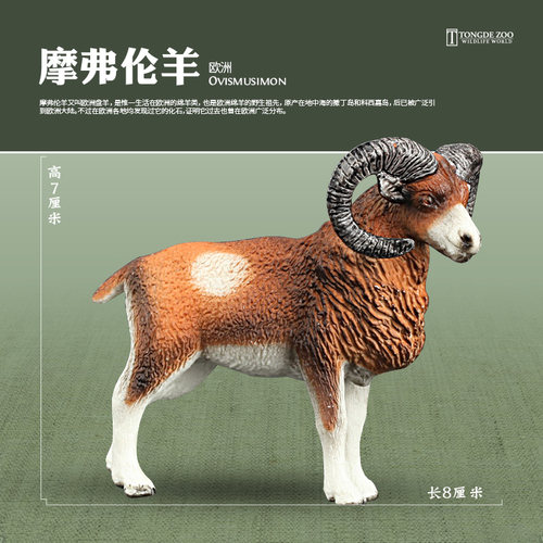 摩弗伦羊模型动物玩具环保材质
