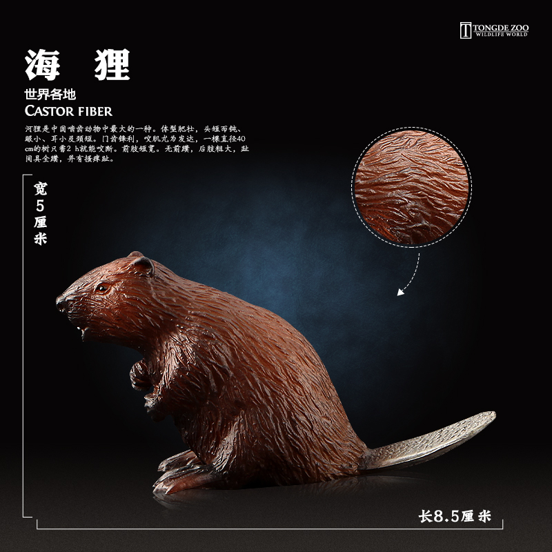 河狸模型海洋动物玩具环保材质