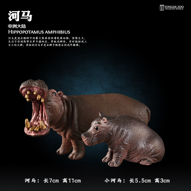 河马模型动物玩具环保材质无异味