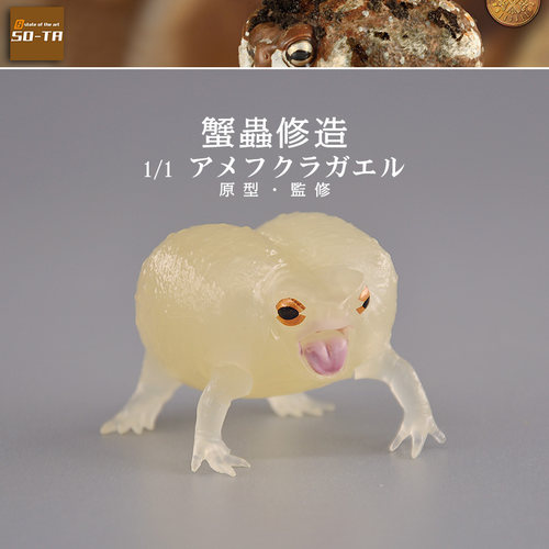 童德仿真爬行动物模型11短头蛙
